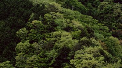 こよみと暮らす 第四回 立夏